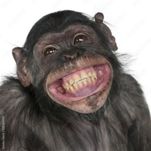 Profilbild av Ortopeden Ryhov